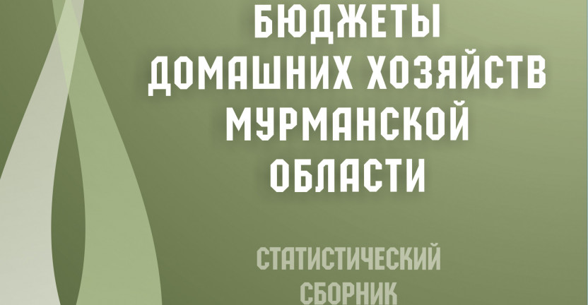 Мурманскстат выпустил статистический сборник «Бюджеты домашних хозяйств Мурманской области» (по итогам выборочного обследования  бюджетов домашних хозяйств за 2016–2020 годы)